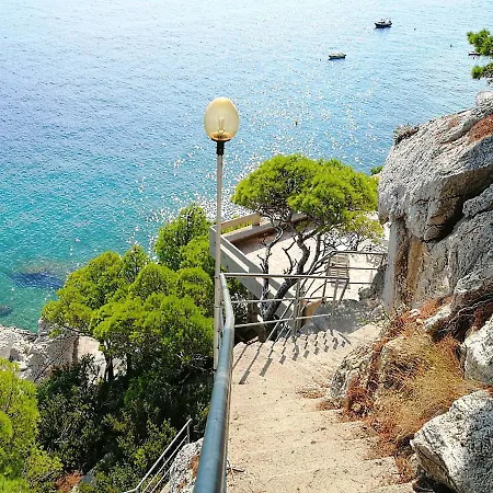 Jadranka Marusici (Split-Dalmatia)